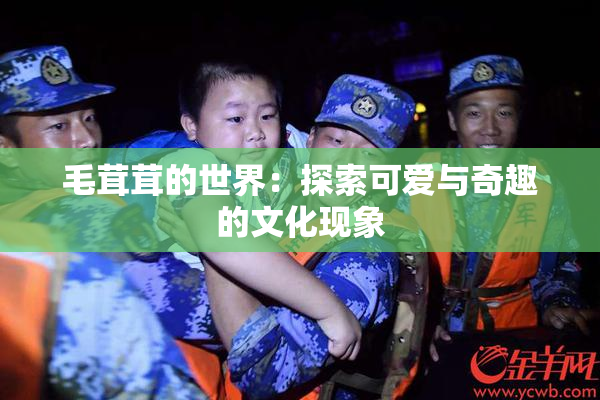 毛茸茸的世界：探索可爱与奇趣的文化现象