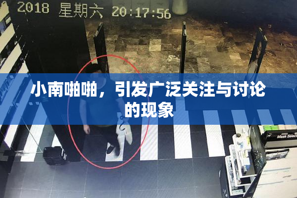 小南啪啪，引发广泛关注与讨论的现象