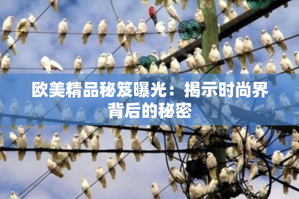 欧美精品秘笈曝光：揭示时尚界背后的秘密