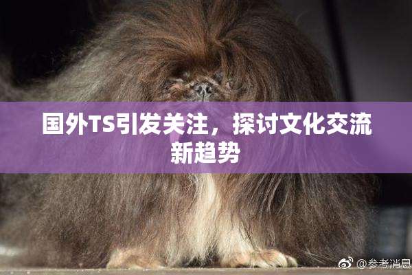 国外TS引发关注，探讨文化交流新趋势