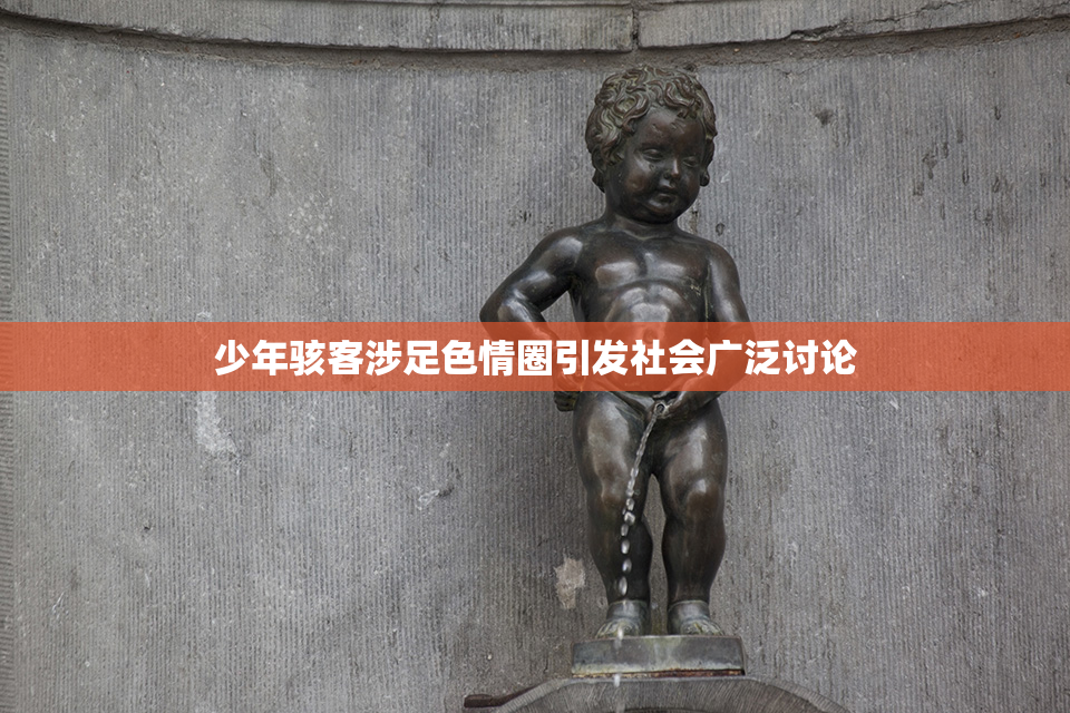少年骇客涉足色情圈引发社会广泛讨论