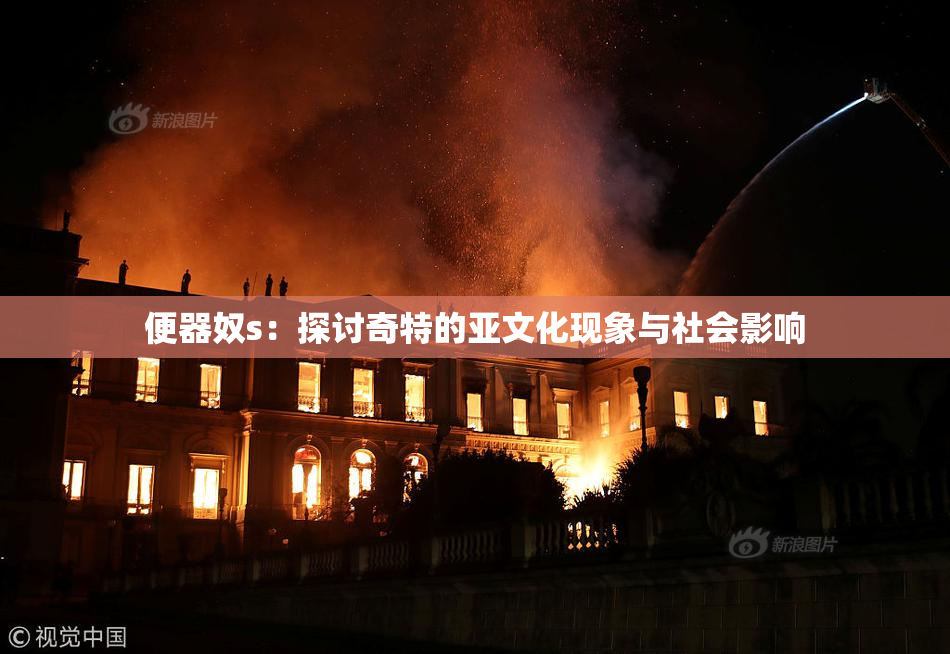 便器奴s：探讨奇特的亚文化现象与社会影响
