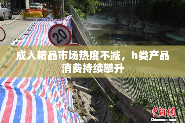 成人精品市场热度不减，h类产品消费持续攀升