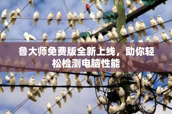 鲁大师免费版全新上线，助你轻松检测电脑性能