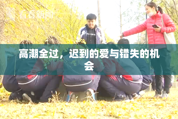 高潮全过，迟到的爱与错失的机会