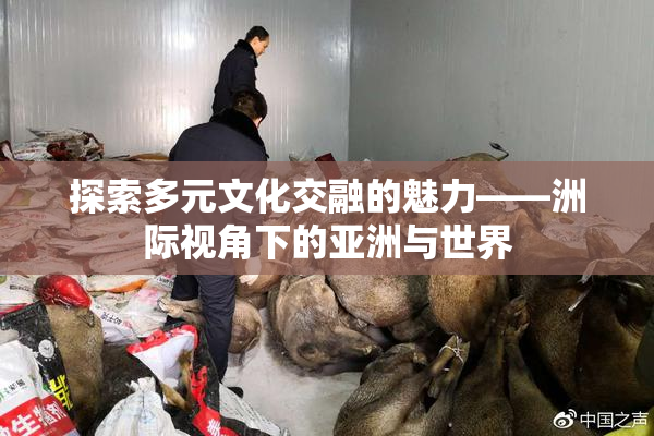 探索多元文化交融的魅力——洲际视角下的亚洲与世界