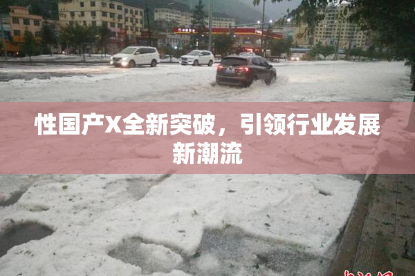 性国产X全新突破，引领行业发展新潮流