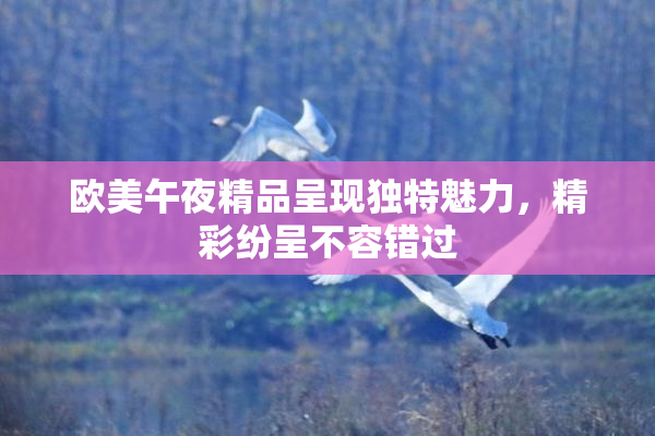 欧美午夜精品呈现独特魅力，精彩纷呈不容错过