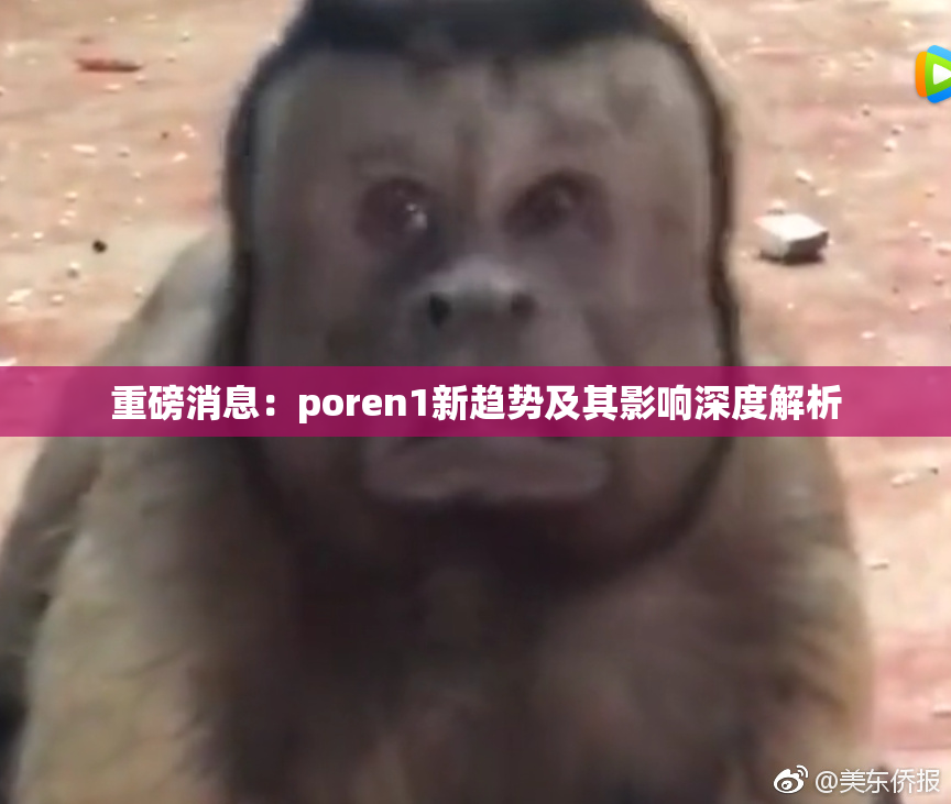 重磅消息：poren1新趋势及其影响深度解析
