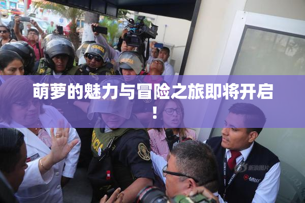 萌萝的魅力与冒险之旅即将开启！