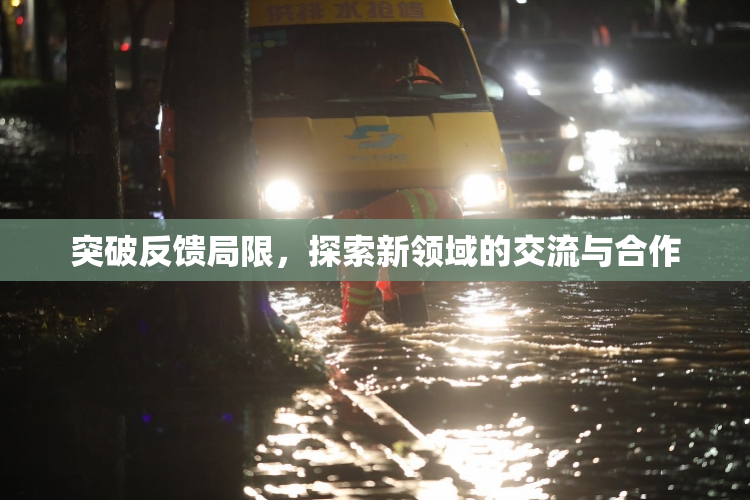突破反馈局限，探索新领域的交流与合作