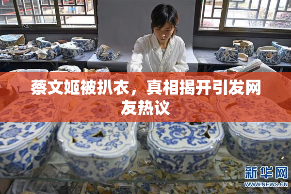 蔡文姬被扒衣，真相揭开引发网友热议