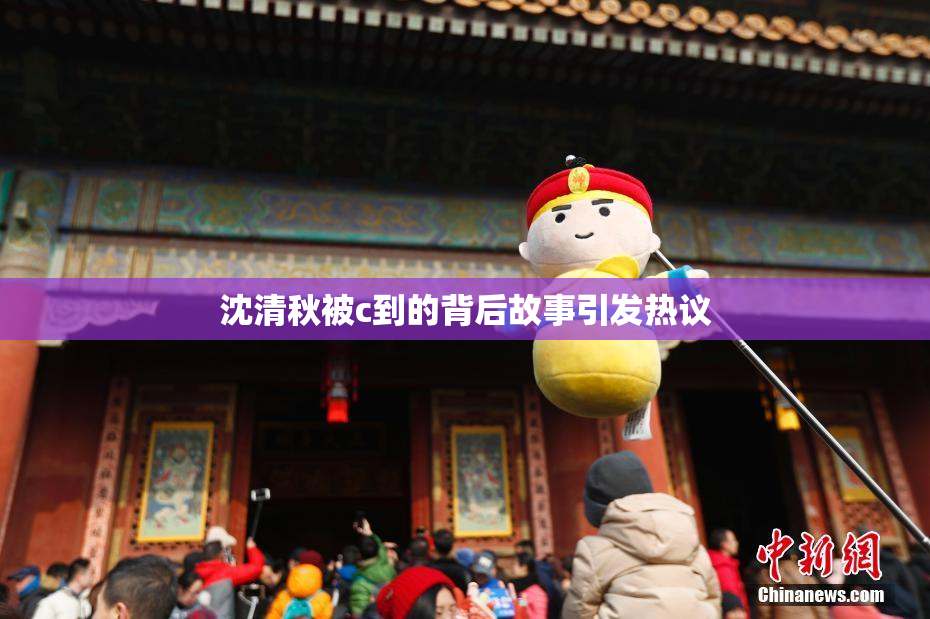 沈清秋被c到的背后故事引发热议
