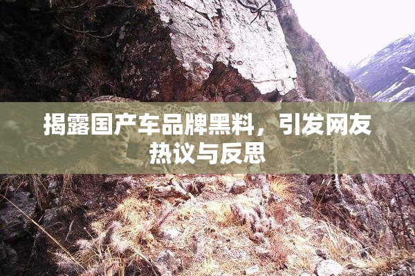 揭露国产车品牌黑料，引发网友热议与反思