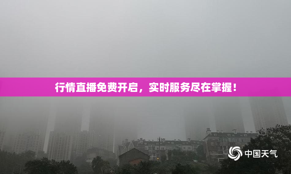 行情直播免费开启，实时服务尽在掌握！