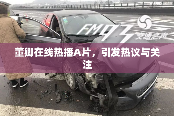 董卿在线热播A片，引发热议与关注