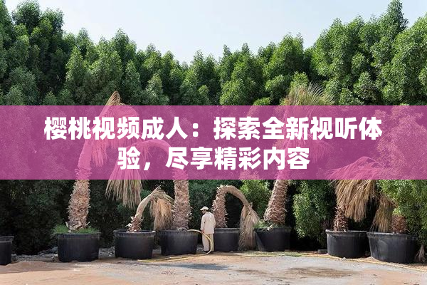 樱桃视频成人：探索全新视听体验，尽享精彩内容