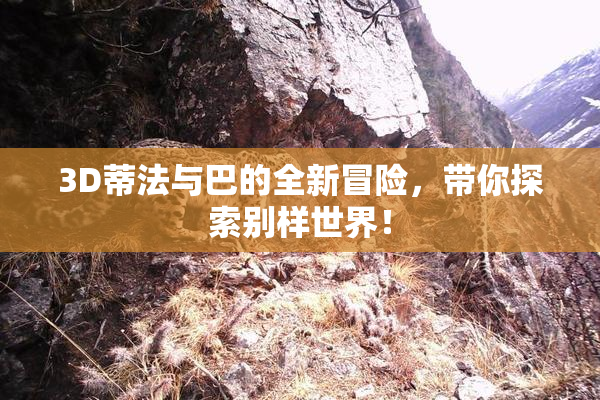3D蒂法与巴的全新冒险，带你探索别样世界！