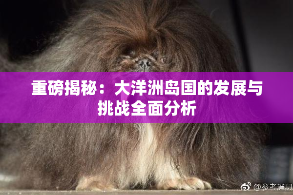 重磅揭秘：大洋洲岛国的发展与挑战全面分析