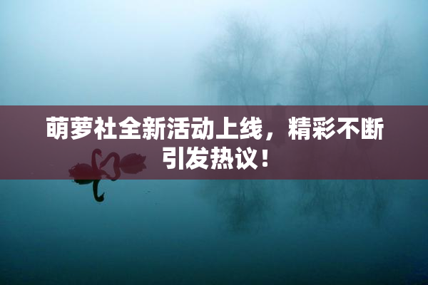 萌萝社全新活动上线，精彩不断引发热议！