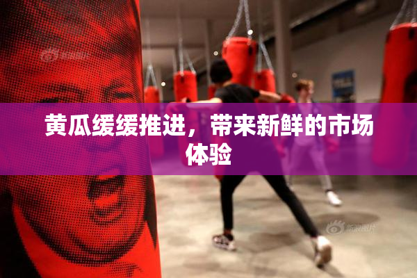 黄瓜缓缓推进，带来新鲜的市场体验