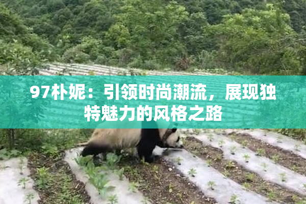 97朴妮：引领时尚潮流，展现独特魅力的风格之路