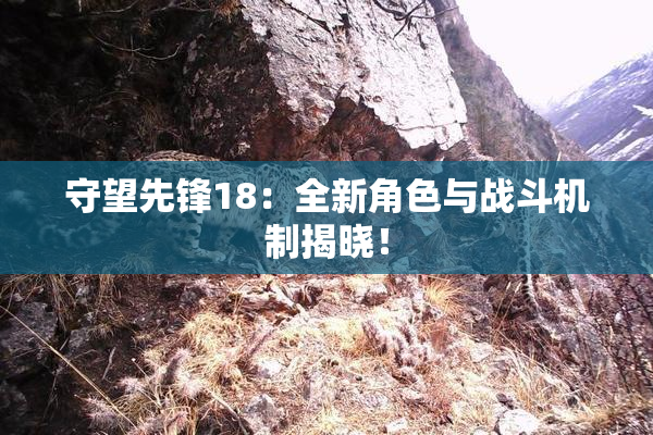 守望先锋18：全新角色与战斗机制揭晓！