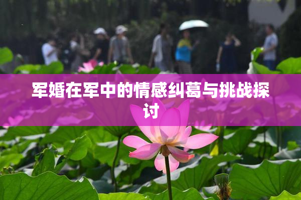 军婚在军中的情感纠葛与挑战探讨