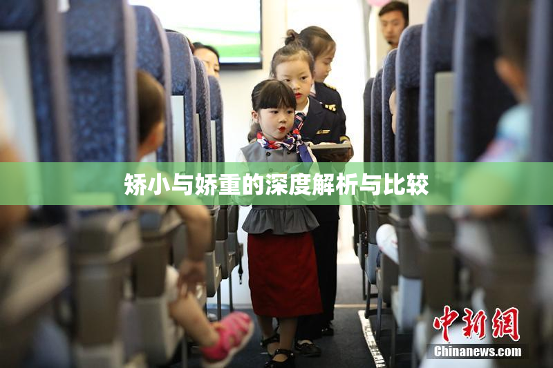 矫小与娇重的深度解析与比较