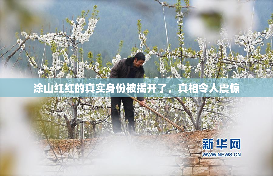 涂山红红的真实身份被揭开了，真相令人震惊