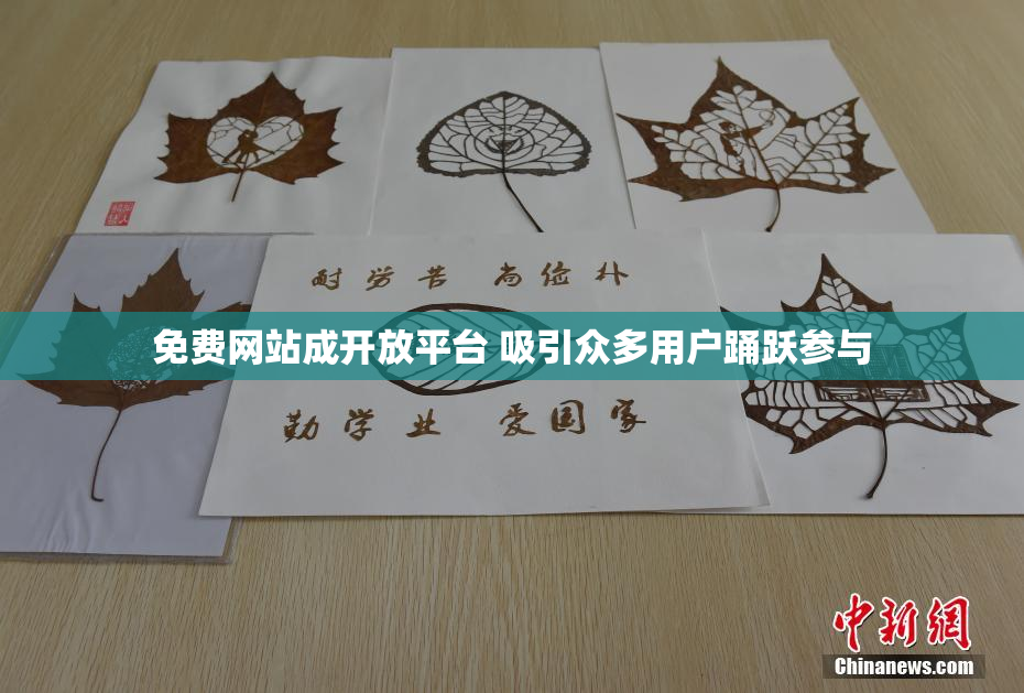 免费网站成开放平台 吸引众多用户踊跃参与