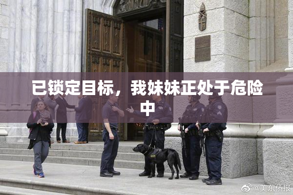 已锁定目标，我妹妹正处于危险中