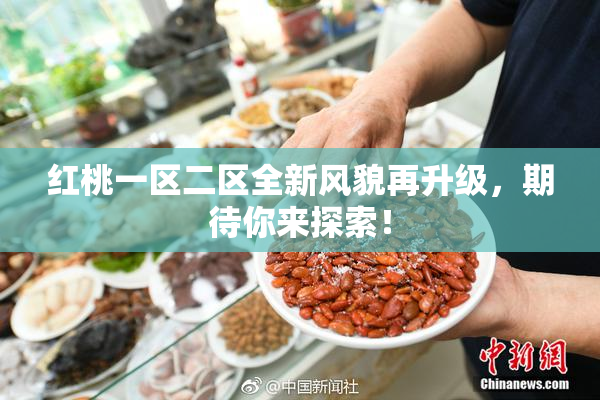 红桃一区二区全新风貌再升级，期待你来探索！