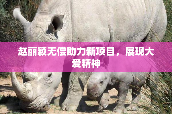 赵丽颖无偿助力新项目，展现大爱精神