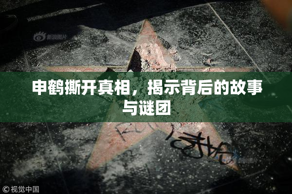 申鹤撕开真相，揭示背后的故事与谜团