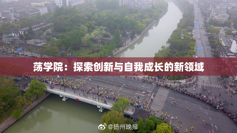 荡学院：探索创新与自我成长的新领域