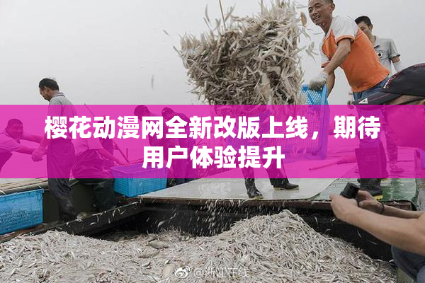 樱花动漫网全新改版上线，期待用户体验提升