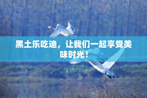 黑土乐吃迪，让我们一起享受美味时光！