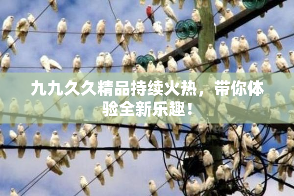 九九久久精品持续火热，带你体验全新乐趣！
