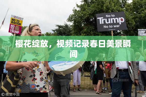 樱花绽放，视频记录春日美景瞬间