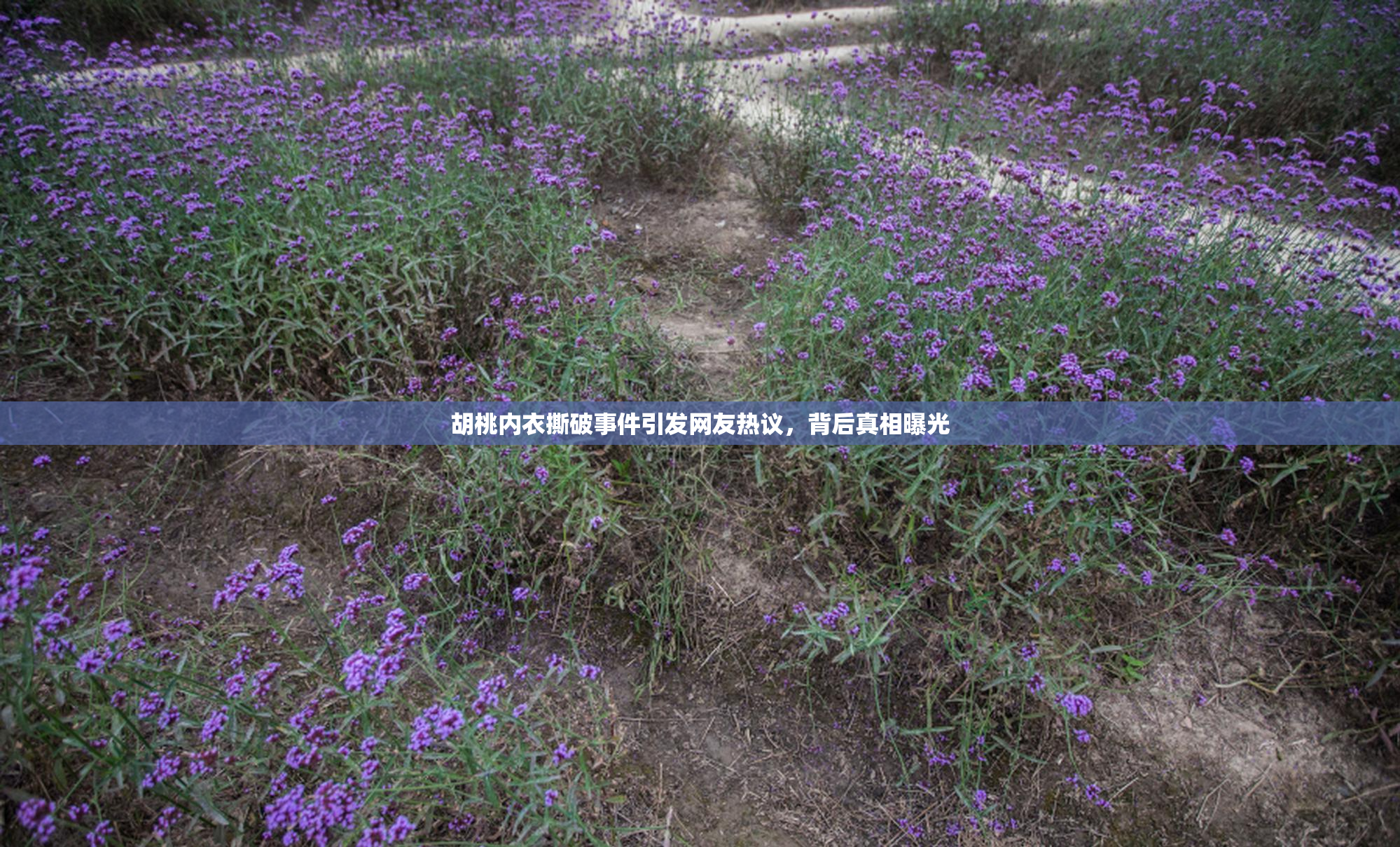 胡桃内衣撕破事件引发网友热议，背后真相曝光