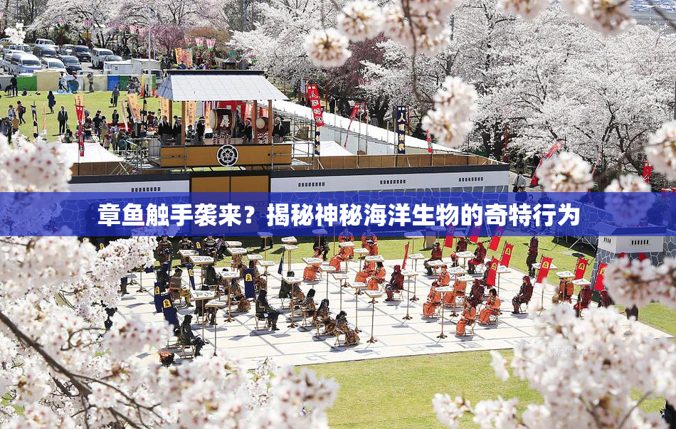 章鱼触手袭来？揭秘神秘海洋生物的奇特行为