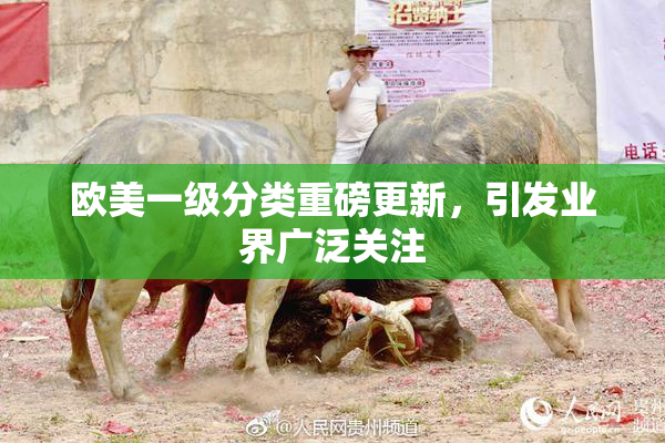 欧美一级分类重磅更新，引发业界广泛关注