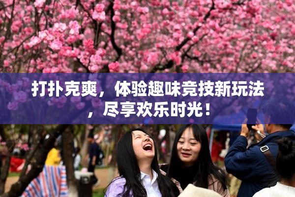 打扑克爽，体验趣味竞技新玩法，尽享欢乐时光！