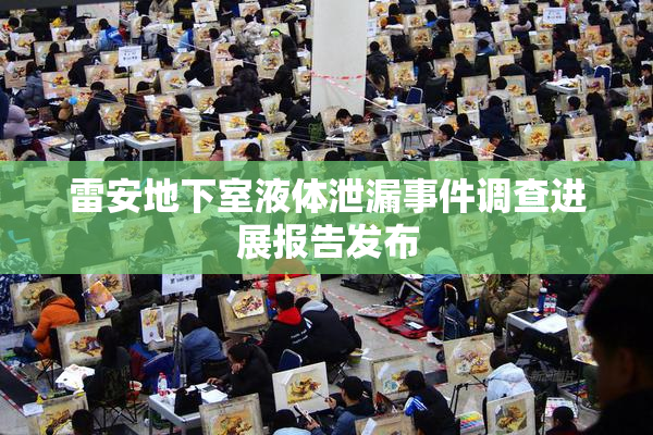 雷安地下室液体泄漏事件调查进展报告发布