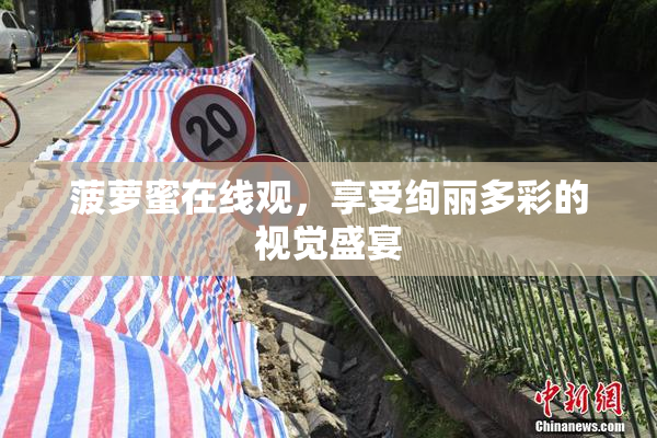 菠萝蜜在线观，享受绚丽多彩的视觉盛宴