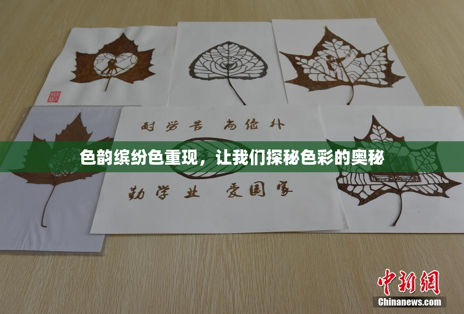 色韵缤纷色重现，让我们探秘色彩的奥秘