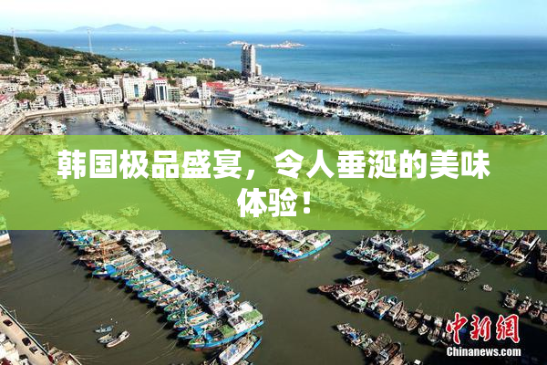韩国极品盛宴，令人垂涎的美味体验！