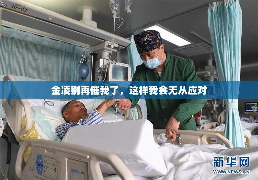 金凌别再催我了，这样我会无从应对