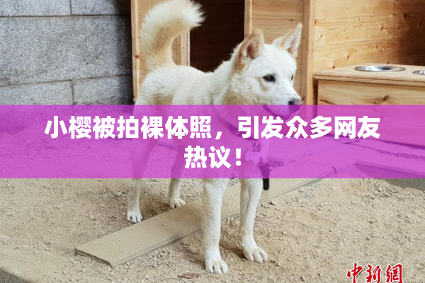 小樱被拍裸体照，引发众多网友热议！